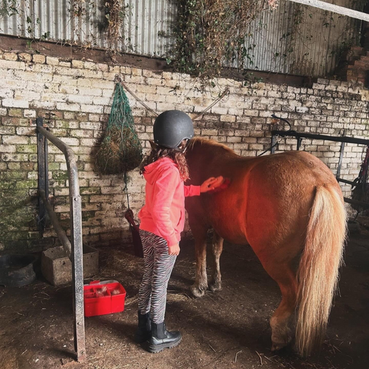 Lasswade Horseriding Camp